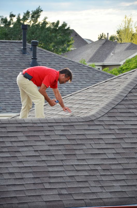 Inspection of a Residential Roof