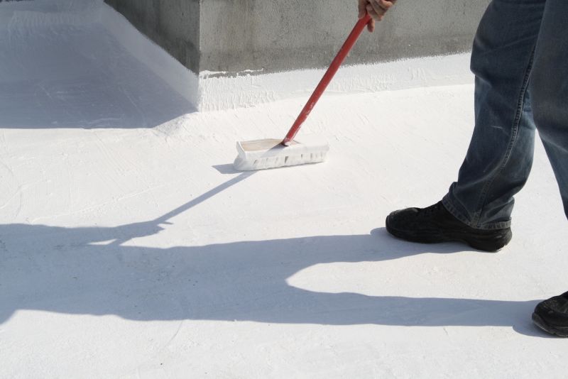 Tpo Roof Coating Service